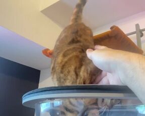 The best place to play with Pussy ... It's always exciting to play in unusual places!